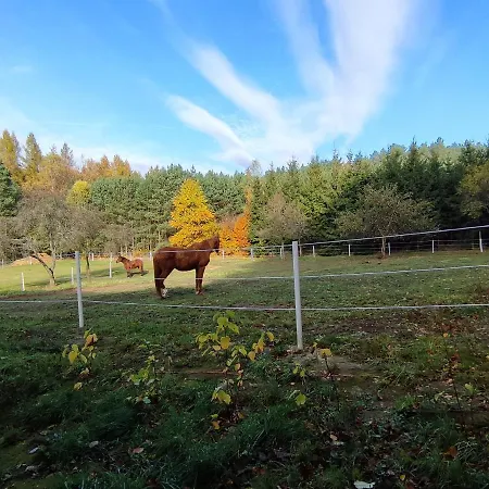 Lejlighed Zacisze Pod Bukami Gornica