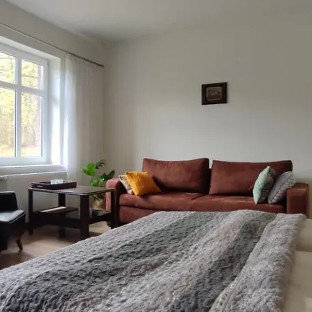 Zacisze Pod Bukami Apartament Gornica