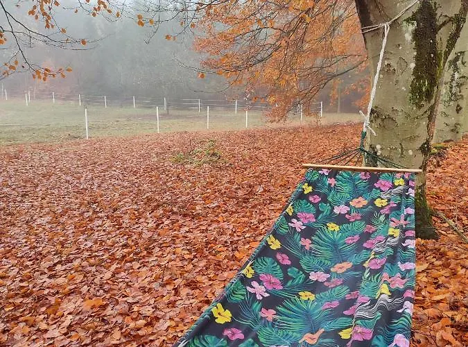 Zacisze Pod Bukami *