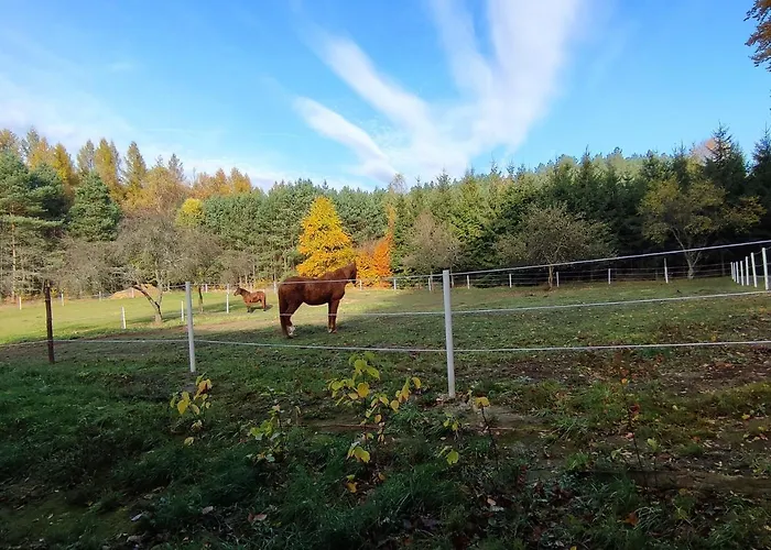 شقة Zacisze Pod Bukami Gornica