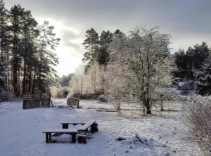 Zacisze Pod Bukami شقة *