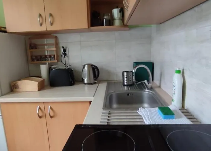 شقة Zacisze Pod Bukami